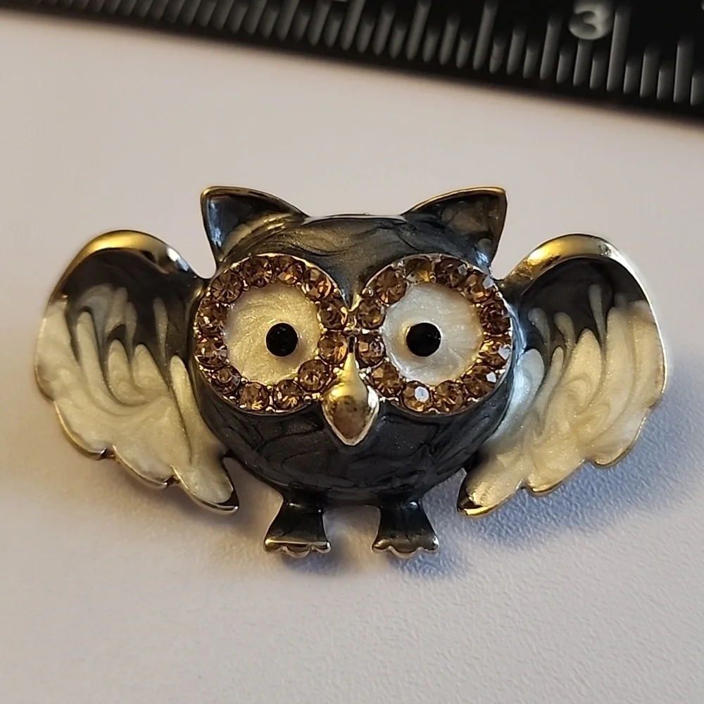 Hand painted Grey Acrylic Gemstone Owl Brooch \Necklace Combo